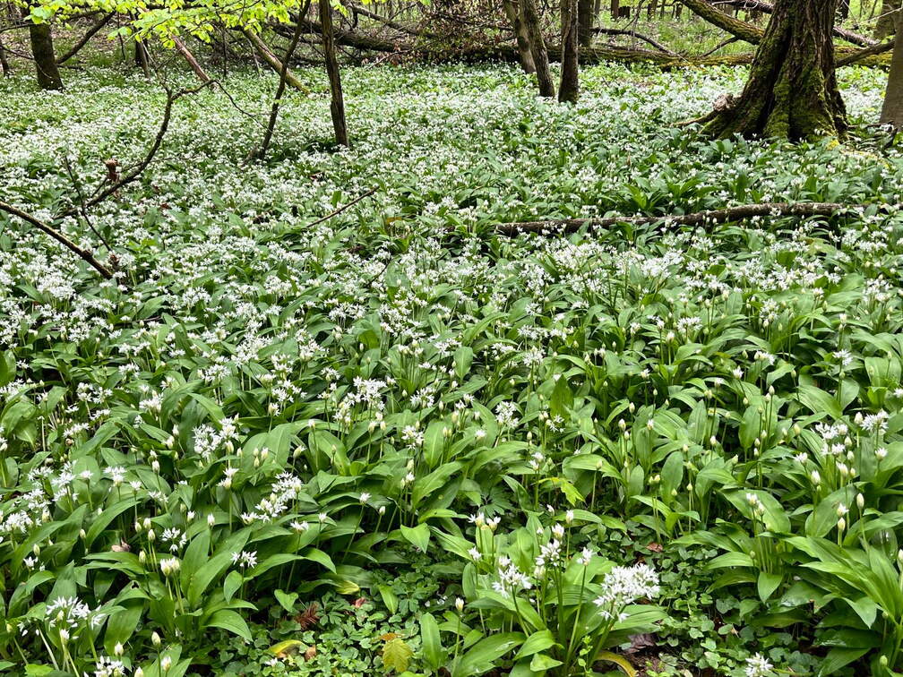 22-04-25 12-16-55 0624